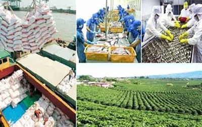 7 tháng, tổng sản lượng thủy sản tăng nhẹ so với cùng kỳ