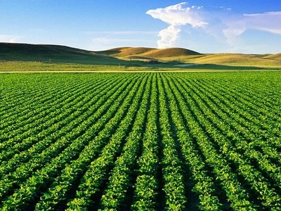 PAN dự kiến phát hành 1,5 triệu cổ phiếu ESOP trong quý IV