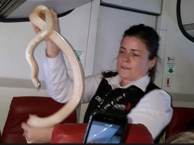 Những vụ bê bối gây chấn động của ngành hàng không Mỹ đầu năm 2017