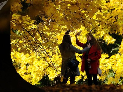 Sắc thu như màu cổ tích lan tỏa khắp nơi trên thế giới