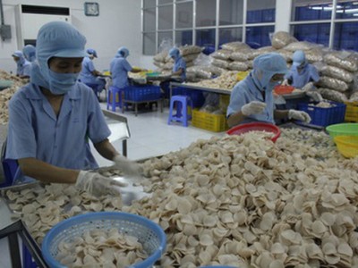 Xuất nhập khẩu Sa Giang (SGC) trả cổ tức bằng tiền mặt, tỷ lệ 20%