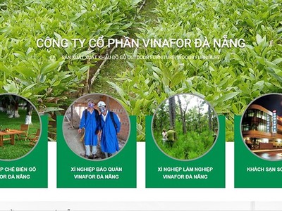 Vinafor Đà Nẵng bị phạt 60 triệu đồng