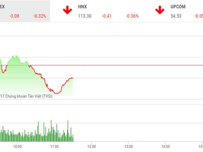 Phiên sáng 19/12: Tỷ phú Thái mất hơn 10.800 tỷ đồng vì Sabeco