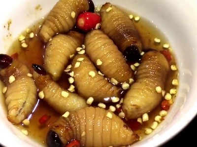 Rùng mình 5 món ăn sống ở Việt Nam khiến khách Tây “khiếp sợ”