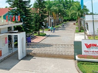 K.I.P Việt Nam (KIP) trả cổ tức 15%, phát hành cổ phiếu với giá chưa tới 40% thị giá