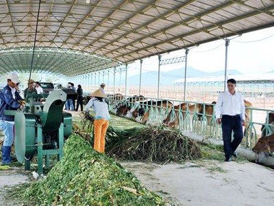 Hoàng Anh Gia Lai (HAG) đăng ký mua 24 triệu cổ phiếu HNG