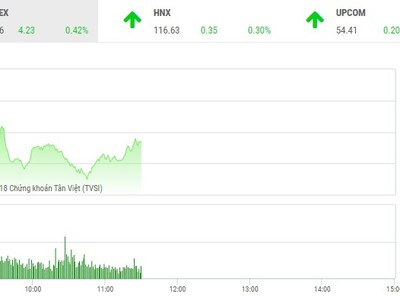 Phiên sáng 1/10: Cổ phiếu P khởi sắc, VN-Index chinh phục mốc 1.020 điểm