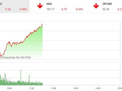 Phiên sáng 19/10: Lực cầu bắt đáy giúp VN-Index hãm đà rơi