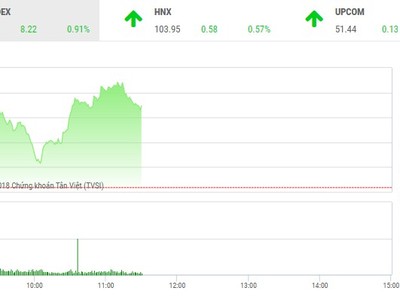 Phiên sáng 2/11: Tiền ồ ạt chảy vào cổ phiếu nhỏ, VN-Index tăng hơn 8 điểm