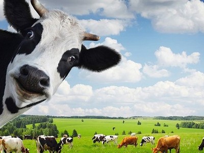 Cổ phiếu cần quan tâm ngày 20/11