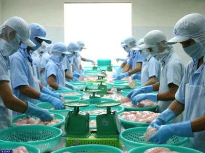 Thủy sản Cửu Long An Giang (ACL) tạm ứng cổ tức 20% bằng tiền mặt