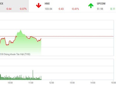 Phiên sáng 26/11: Nhà đầu tư đứng nhìn, thị trường chưa thể gượng dậy