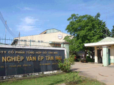 Gỗ Tân Mai (TMW) trả cổ tức 30% bằng tiền mặt