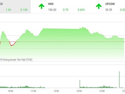 Phiên chiều 22/2: Thiếu sự đồng thuận, VN-Index tuột mốc 990 điểm