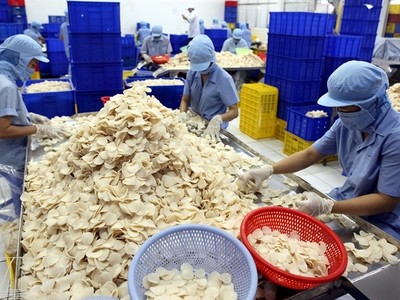 Xuất nhập khẩu Sa Giang (SGC) trả cổ tức 15% bằng tiền mặt