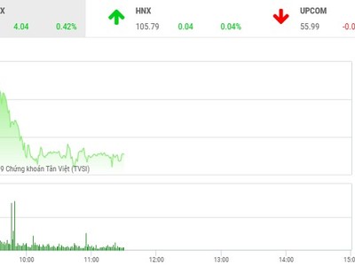 Phiên sáng 19/4: Dòng tiền èo uột, VN-Index hạ độ cao