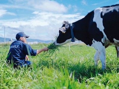 Vinamilk (VNM) tiếp tục chi gần 3.500 tỷ đồng tạm ứng cổ tức đợt 1/2019