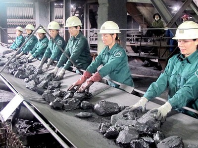 Vinacomin tiếp tục đăng ký mua hơn 1 triệu cổ phiếu MDC