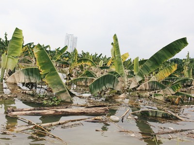 Ảnh minh họa: Internet