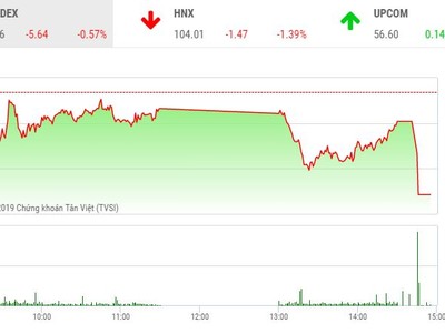 Phiên chiều 21/10: Họ FLC bay cao, VN-Index rơi sâu