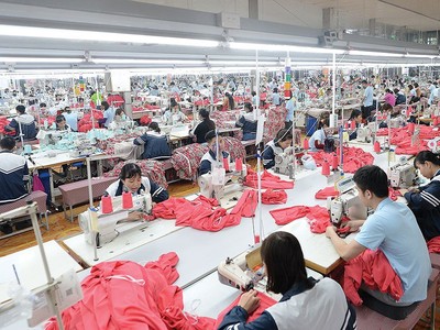 May Sông Hồng (MSH) tạm ứng cổ tức 45% bằng tiền mặt