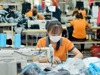 Hơn 7200 CO được cấp cho doanh nghiệp xuất khẩu vào EU hưởng ưu đãi từ khi EVFTA có hiệu lực