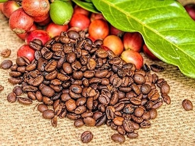 Sử dụng 29 tài khoản thao túng giá cổ phiếu CTP, một cá nhân bị phạt 600 triệu đồng