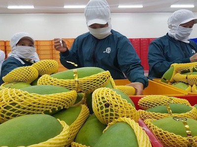 Doanh nghiệp Việt đón cơ hội từ hiệp định thương mại tự do Việt Nam- Anh