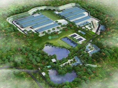 Dùng 19 tài khoản để thao túng giá cổ phiếu TGG, một cá nhân bị phạt 550 triệu đồng