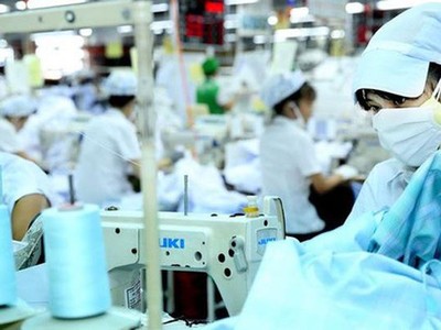Thị giá chỉ 700 đồng/CP, May Xuất khẩu Phan Thiết (PTG) chia cổ tức khủng 150% bằng tiền