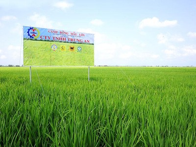 Trung An (TAR): Quý I/2021 chỉ đạt 3,4 tỷ đồng lợi nhuận, giảm 89% so với cùng kỳ