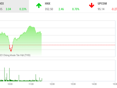 Giao dịch chứng khoán sáng 13/9: Lỗi hẹn với mốc 1.350 điểm, cổ phiếu vừa và nhỏ tiếp tục nóng