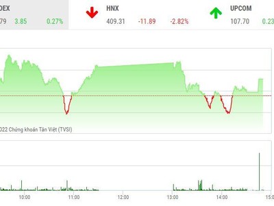 Giao dịch chứng khoán phiên chiều 19/1: Sắc tím đã bừng lên chào Tết