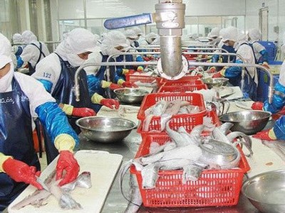 Thủy sản Ngô Quyền (NGC) dự kiến chào bán 10,3 triệu cổ phiếu với giá 10.000 đồng/CP