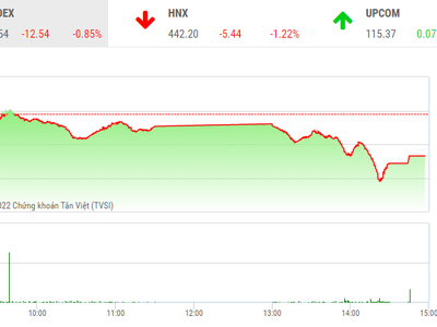 Giao dịch chứng khoán chiều 11/3: VN-Index đe dọa mốc 1.460 điểm, cổ phiếu gỗ vẫn tím lịm