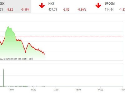 Giao dịch chứng khoán sáng 8/4: Sắc đỏ bao trùm, VIC không "cứu" được thị trường