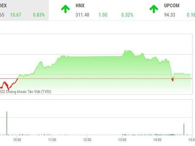 Giao dịch chứng khoán chiều 6/6: Xanh vỏ đỏ lòng