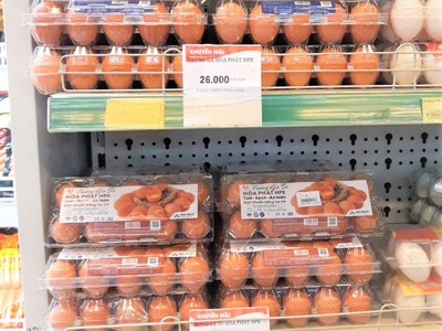 Hòa Phát bán hơn một triệu quả trứng mỗi ngày, lớn nhất miền Bắc