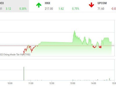 Giao dịch chứng khoán chiều 9/12: VN-Index rung lắc, nhóm cổ phiếu hàng không và dệt may khởi sắc