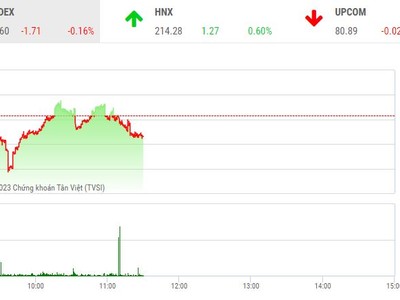 Giao dịch chứng khoán sáng 19/5: Thị trường rung lắc, DIG và HBC đã được giải cứu