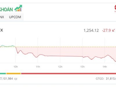 Thanh khoản cao nhất hơn 2 tháng, VN-Index giảm gần 30 điểm
