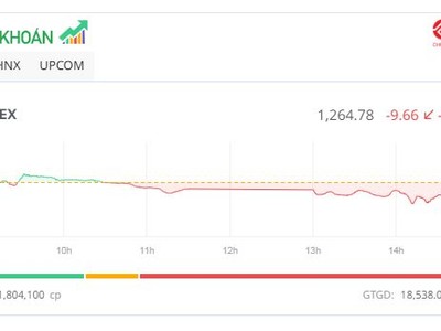 Áp lực T+ khiến VN-Index mất gần 10 điểm, cổ phiếu QCG bị bán tháo