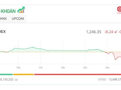 VN-Index thủng mốc 1.250 điểm, cổ phiếu VTP "tím ngắt"