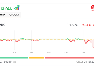 Cổ phiếu VIC tăng sát trần, VN-Index vẫn lùi về mốc 1.670 điểm
