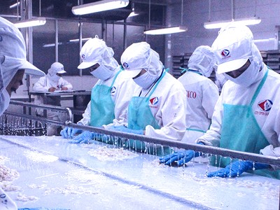 Thủy sản Cà Mau (CAT) chia cổ tức 15% bằng tiền và phát hành hơn 4,6 triệu cổ phiếu giá 10.000 đồng/CP 