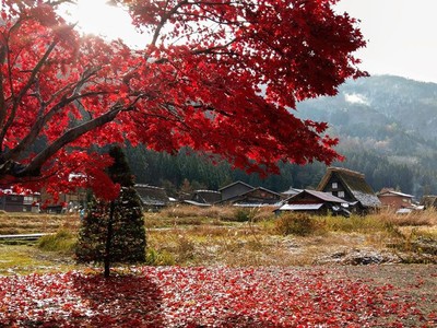 Từ 18/9/2020, Vietnam Airlines sẽ khai thác trở lại các chuyến bay quốc tế