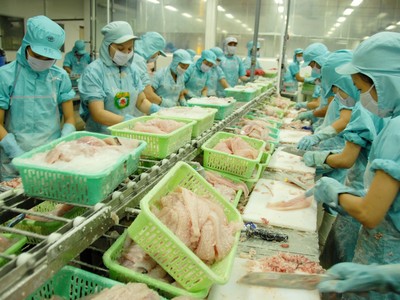 Cổ phiếu lập đỉnh mới khi thị trường xuất khẩu thủy sản phục hồi ấn tượng