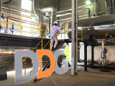 Chủ tịch HĐQT và Tổng giám đốc DDG không còn là cổ đông lớn tại DDG.