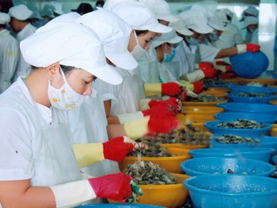 Công ty cổ phần thủy sản Bạc Liêu đã có lãi trở lại sau 5 quý liên tiếp thua lỗ.