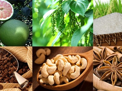 Thị trường hàng hóa tuần từ 30/9 – 4/10: Điểm nhấn nông sản 